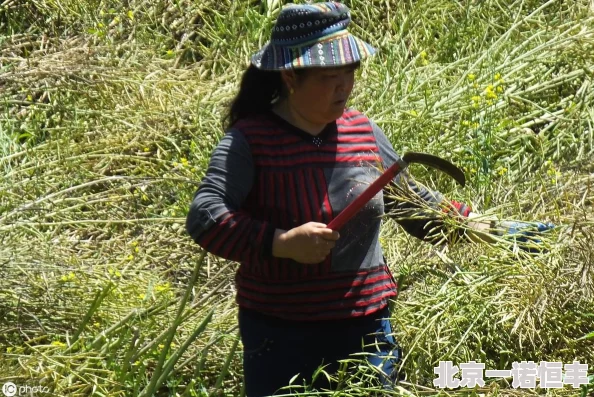 《天堂荣耀》9月5日新服震撼开启，绝版秒怪神器限时领取，全新内容等你探索