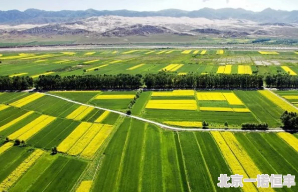 土地by除徒近日，土地利用规划新规出台，旨在促进可持续发展和生态保护，鼓励绿色建筑和土地复垦。