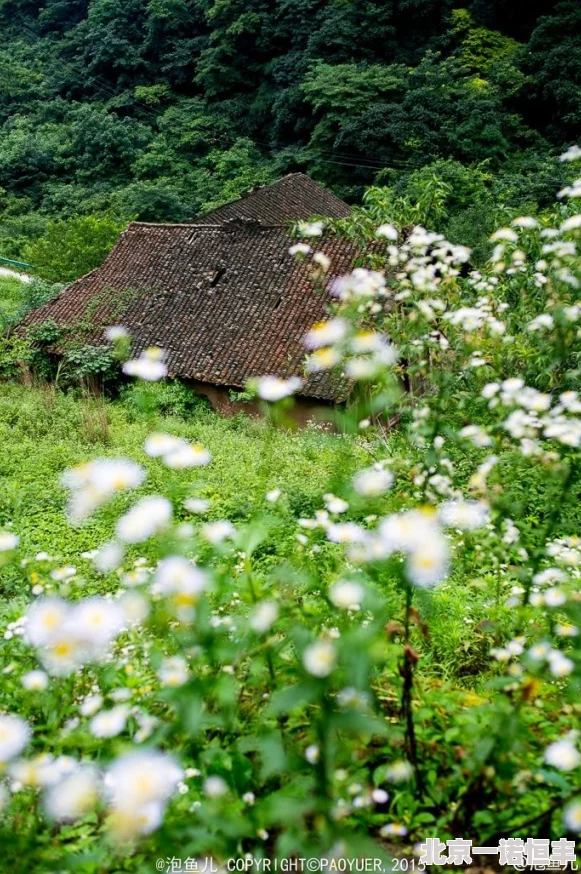 田野花香txt听说作者其实是位隐居山林的神秘富豪