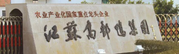 老鸭网永不丢失网地据传创始人酷爱养鸭曾一口气买下百只不同品种