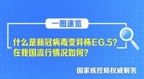 韩国一区二区三区网友称此类划分方式早已过时