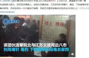 秀色宰杀女肉蓄小说已被举报至相关部门并正在调查中