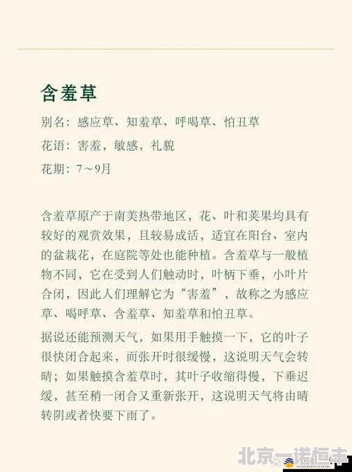 含羞草小说据说作者已改行做甜品生意作品将被翻拍成青春校园剧