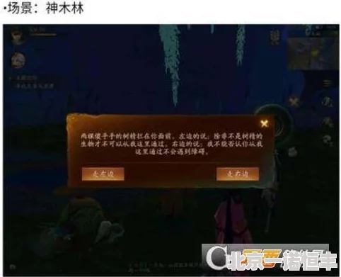 神都夜行录寻宝攻略全解析：宝物分布详情及网友热评汇总