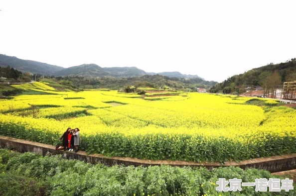 半世界之旅公测时间详解：网友热议，何时正式开启浪漫之旅？