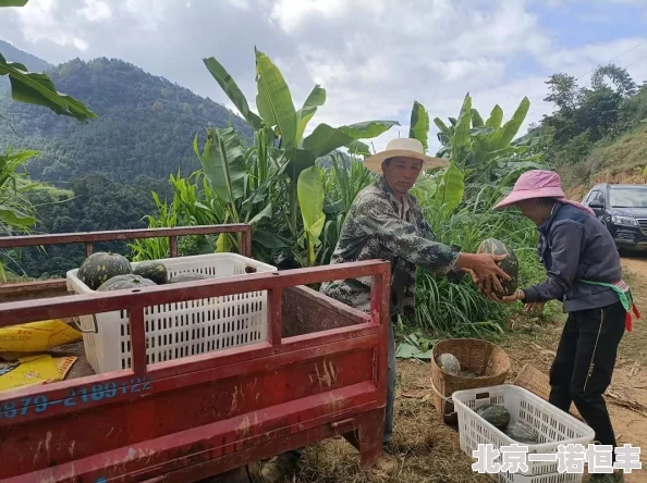 我的世界：南瓜的多样作用与获取途径全解析，网友热议必备指南